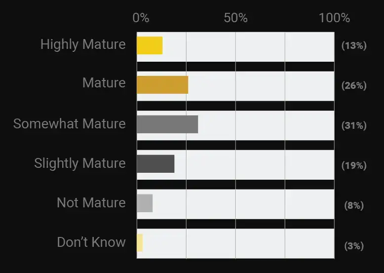 Analytics strategy is somewhat mature boarding on mature