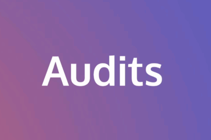 Audits image