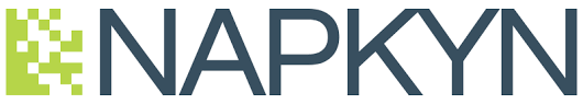 Napkyn Analytics Logo