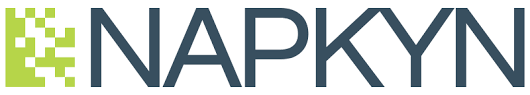 Napkyn Analytics Logo Napkyn Analytics Logo