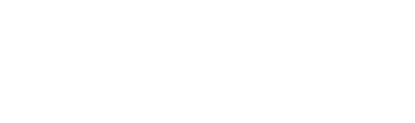 Protiviti