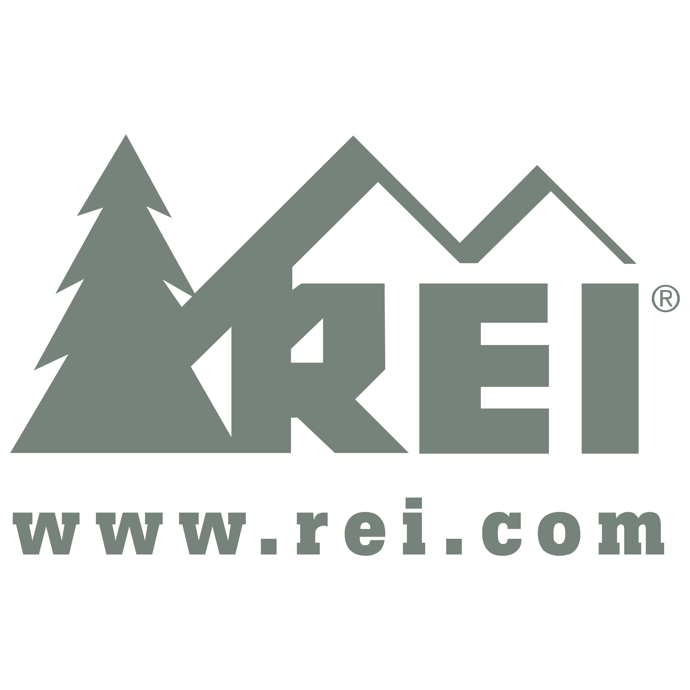 rei-logo-png-transparent REI Logo