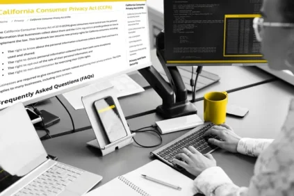 Woman working on her computer