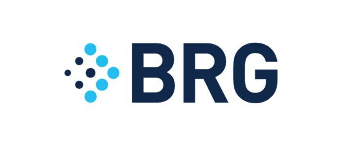 Berkeley Research Group
